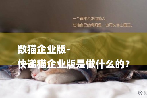 數貓企業版-
快遞貓企業版是做什么的？