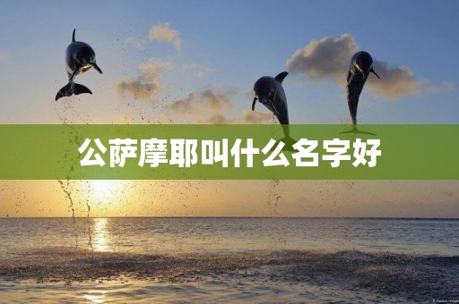 公薩摩耶叫什么名字好