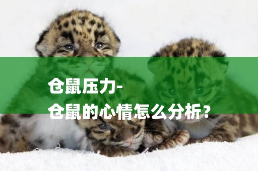 倉鼠壓力-
倉鼠的心情怎么分析？