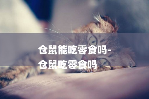 倉鼠能吃零食嗎-
倉鼠吃零食嗎