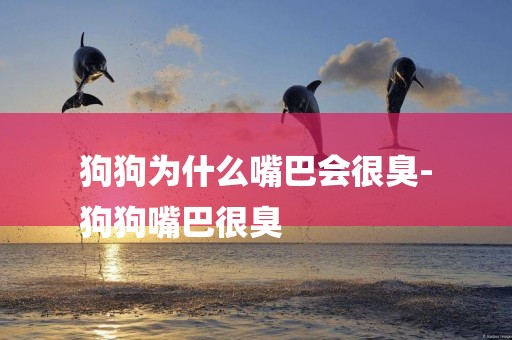 狗狗為什么嘴巴會很臭-
狗狗嘴巴很臭