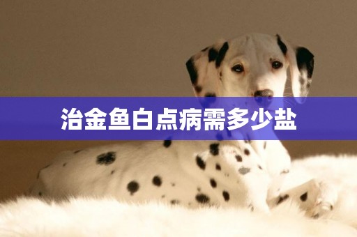 治金魚白點病需多少鹽