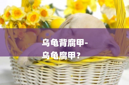 烏龜背腐甲-
烏龜腐甲？