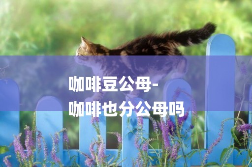 咖啡豆公母-
咖啡也分公母嗎