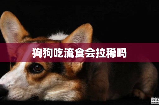 狗狗吃流食會拉稀嗎