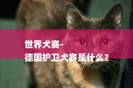 世界犬賽-
德國護衛犬賽是什么？