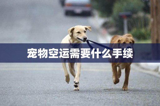 寵物空運需要什么手續