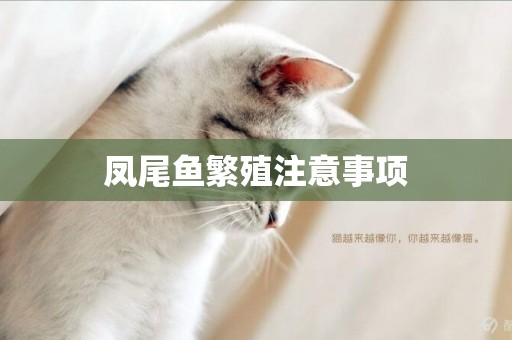 鳳尾魚繁殖注意事項