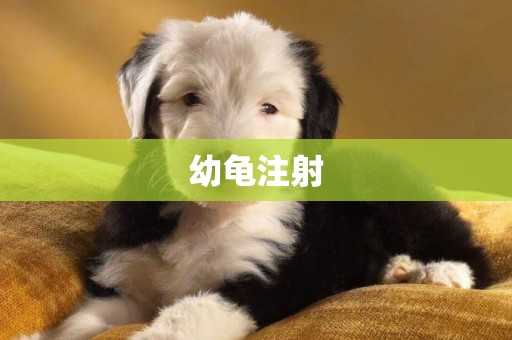 幼龜注射
