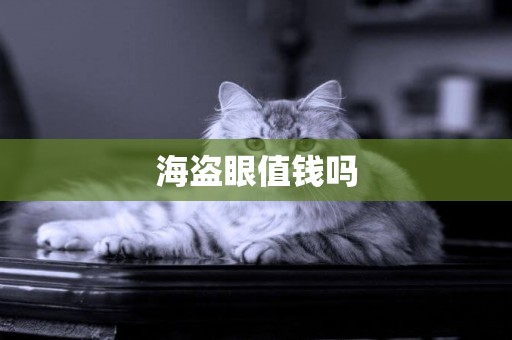海盜眼值錢嗎