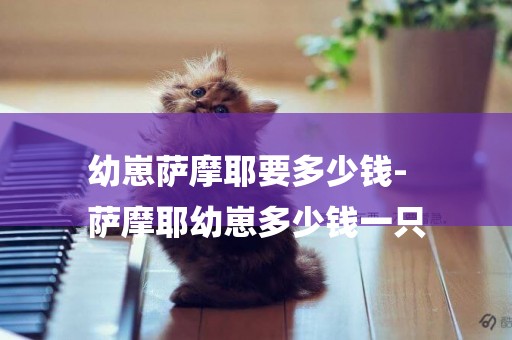 幼崽薩摩耶要多少錢-
薩摩耶幼崽多少錢一只