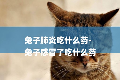 兔子肺炎吃什么藥-
兔子感冒了吃什么藥
