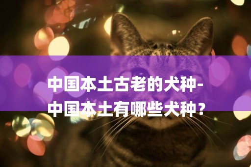 中國本土古老的犬種-
中國本土有哪些犬種？
