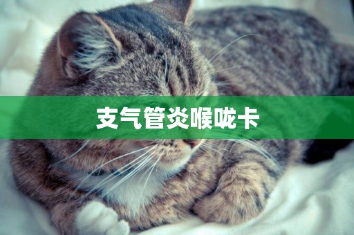 支氣管炎喉嚨卡