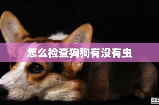 怎么檢查狗狗有沒有蟲