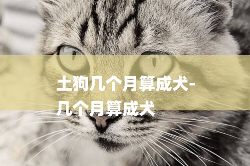 土狗幾個月算成犬-
幾個月算成犬