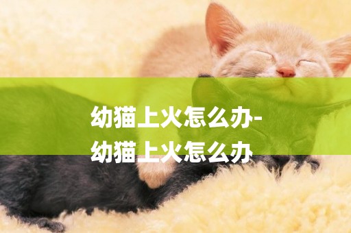 幼貓上火怎么辦-
幼貓上火怎么辦
