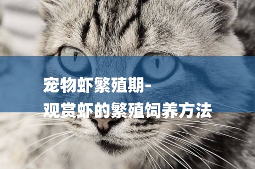 寵物蝦繁殖期-
觀賞蝦的繁殖飼養方法