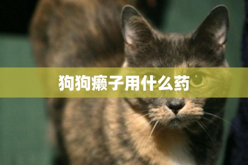 狗狗癩子用什么藥