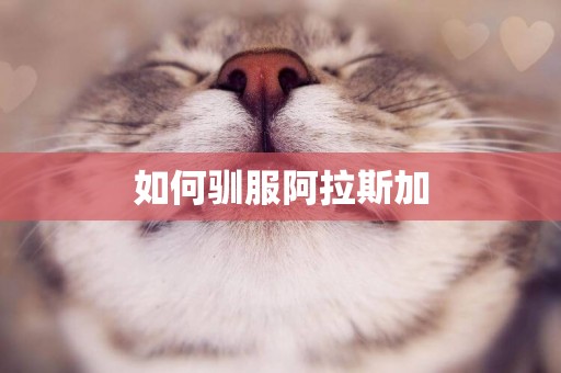 如何馴服阿拉斯加
