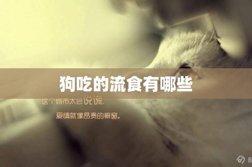 狗吃的流食有哪些