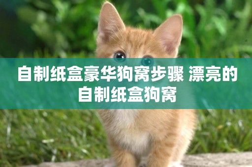 自制紙盒豪華狗窩步驟 漂亮的自制紙盒狗窩