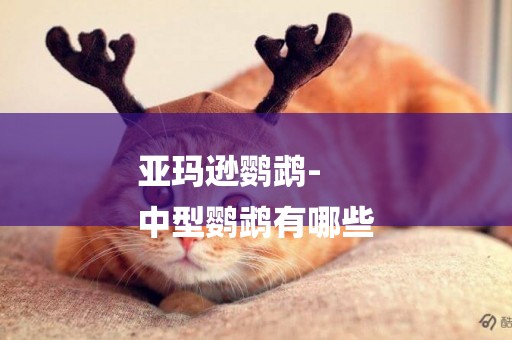 亞瑪遜鸚鵡-
中型鸚鵡有哪些