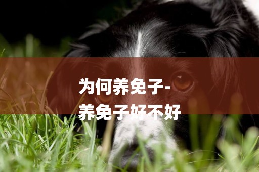 為何養免子-
養免子好不好