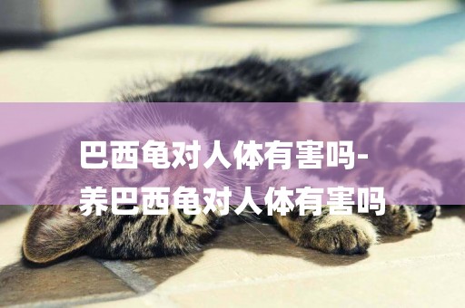 巴西龜對人體有害嗎-
養巴西龜對人體有害嗎
