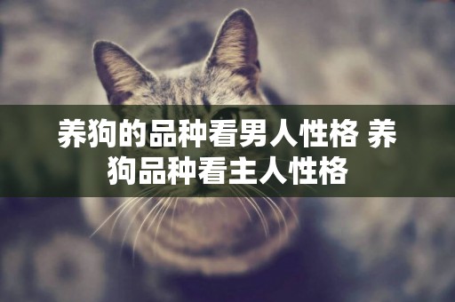 養狗的品種看男人性格 養狗品種看主人性格