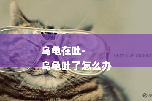 烏龜在吐-
烏龜吐了怎么辦