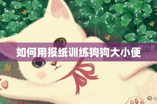 如何用報紙訓練狗狗大小便