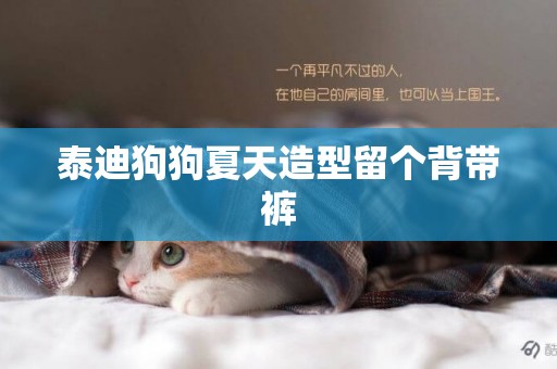 泰迪狗狗夏天造型留個背帶褲