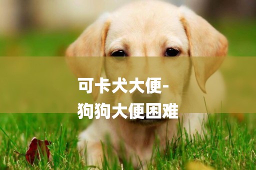 可卡犬大便-
狗狗大便困難