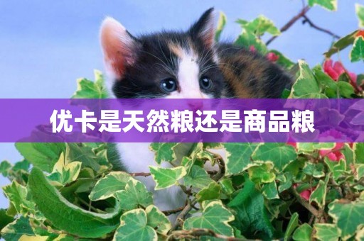 優卡是天然糧還是商品糧