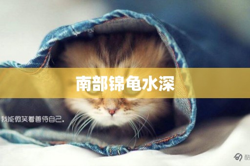 南部錦龜水深
