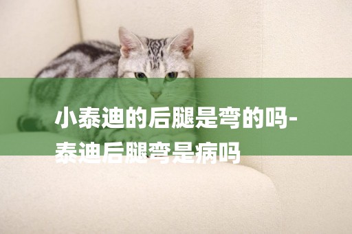 小泰迪的后腿是彎的嗎-
泰迪后腿彎是病嗎