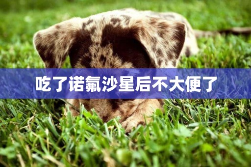 吃了諾氟沙星后不大便了