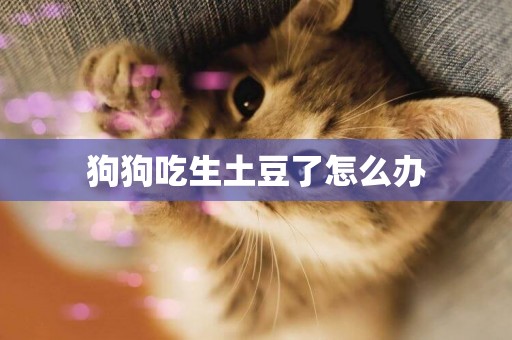 狗狗吃生土豆了怎么辦