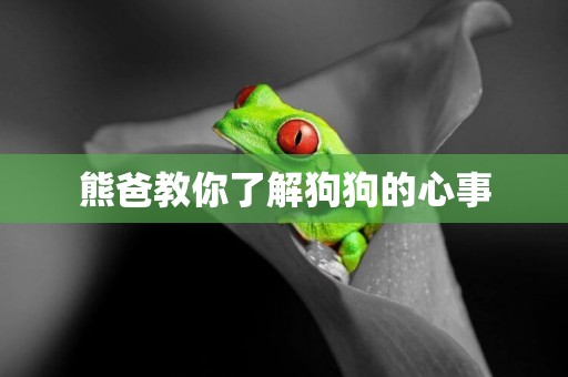 熊爸教你了解狗狗的心事