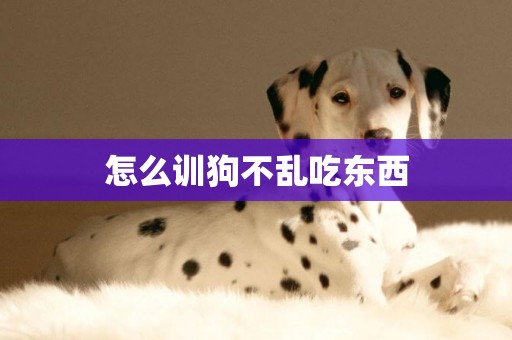 怎么訓狗不亂吃東西