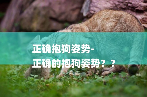 正確抱狗姿勢-
正確的抱狗姿勢？？