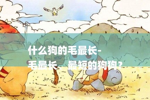 什么狗的毛最長-
毛最長、最短的狗狗？