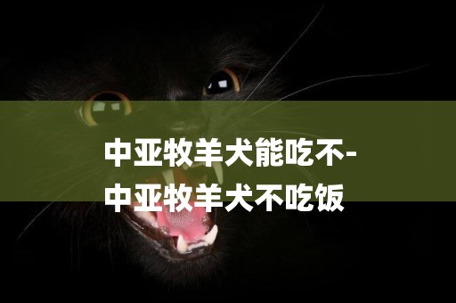 中亞牧羊犬能吃不-
中亞牧羊犬不吃飯