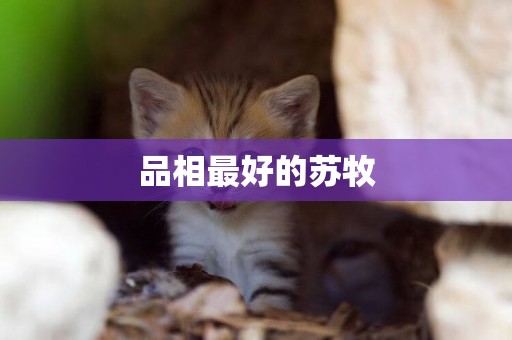品相最好的蘇牧