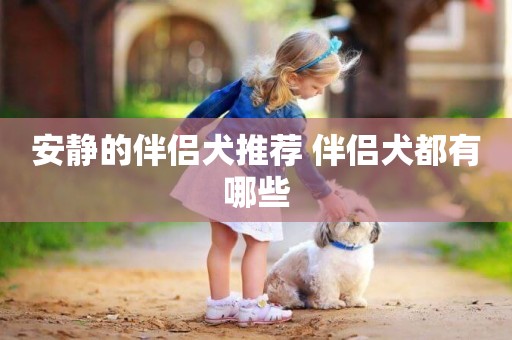安靜的伴侶犬推薦 伴侶犬都有哪些