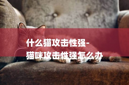 什么貓攻擊性強-
貓咪攻擊性強怎么辦