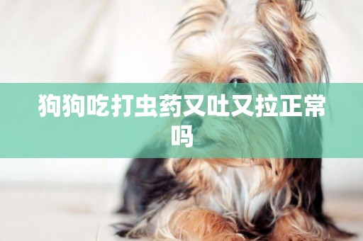 狗狗吃打蟲藥又吐又拉正常嗎