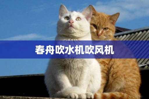 春舟吹水機吹風機