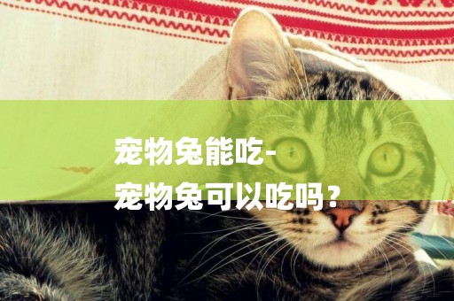 寵物兔能吃-
寵物兔可以吃嗎？